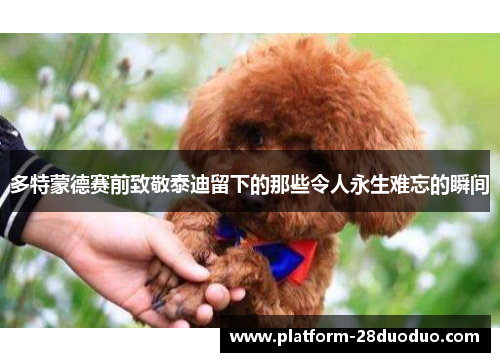 多特蒙德赛前致敬泰迪留下的那些令人永生难忘的瞬间