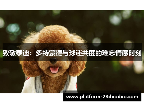 致敬泰迪：多特蒙德与球迷共度的难忘情感时刻