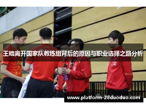 王皓离开国家队教练组背后的原因与职业选择之路分析