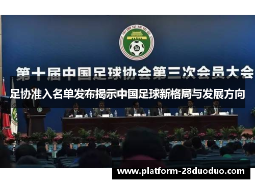 足协准入名单发布揭示中国足球新格局与发展方向