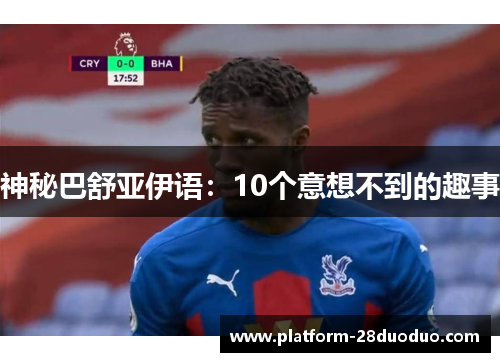 神秘巴舒亚伊语:10个意想不到的趣事 神秘巴舒亚伊语:10个意想不到的趣事